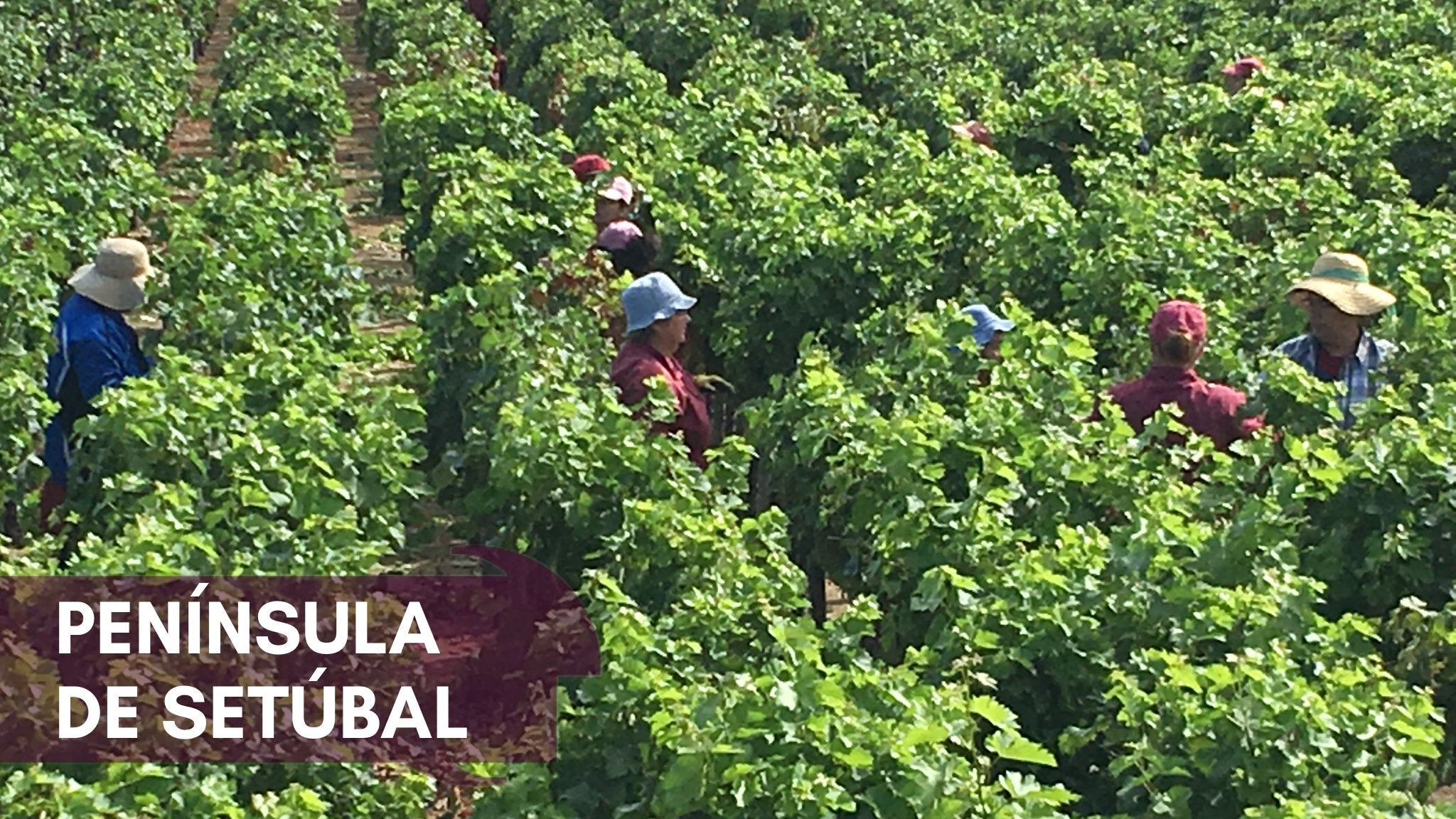 Península de Setúbal