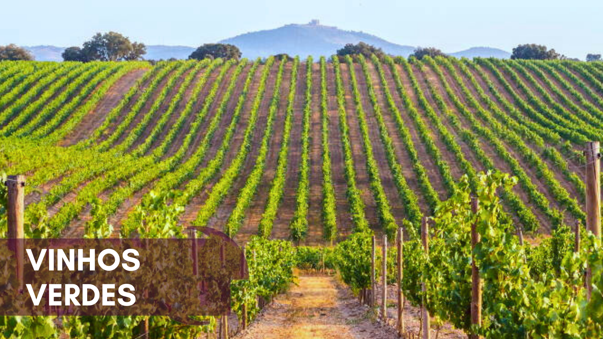 Vinhos Verdes
