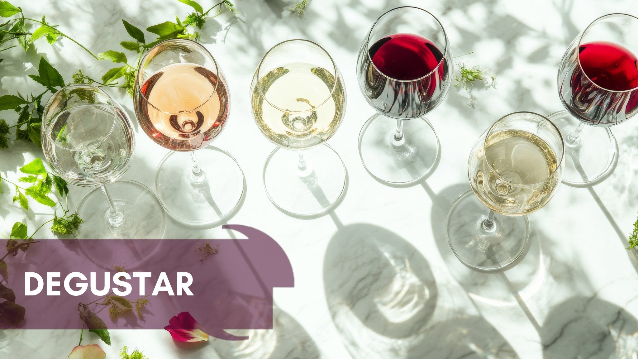 DEGUSTAR