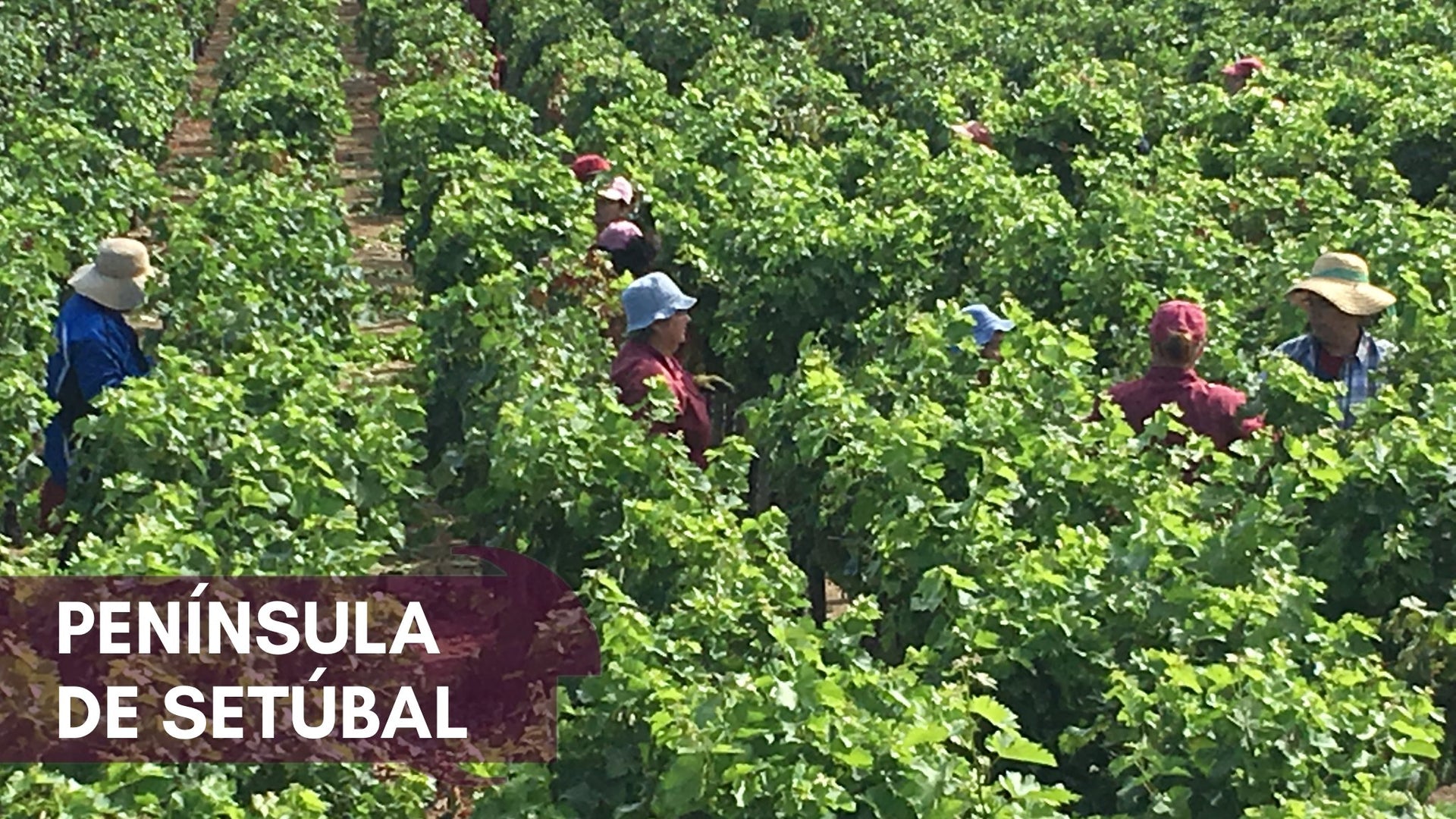 Península de Setúbal