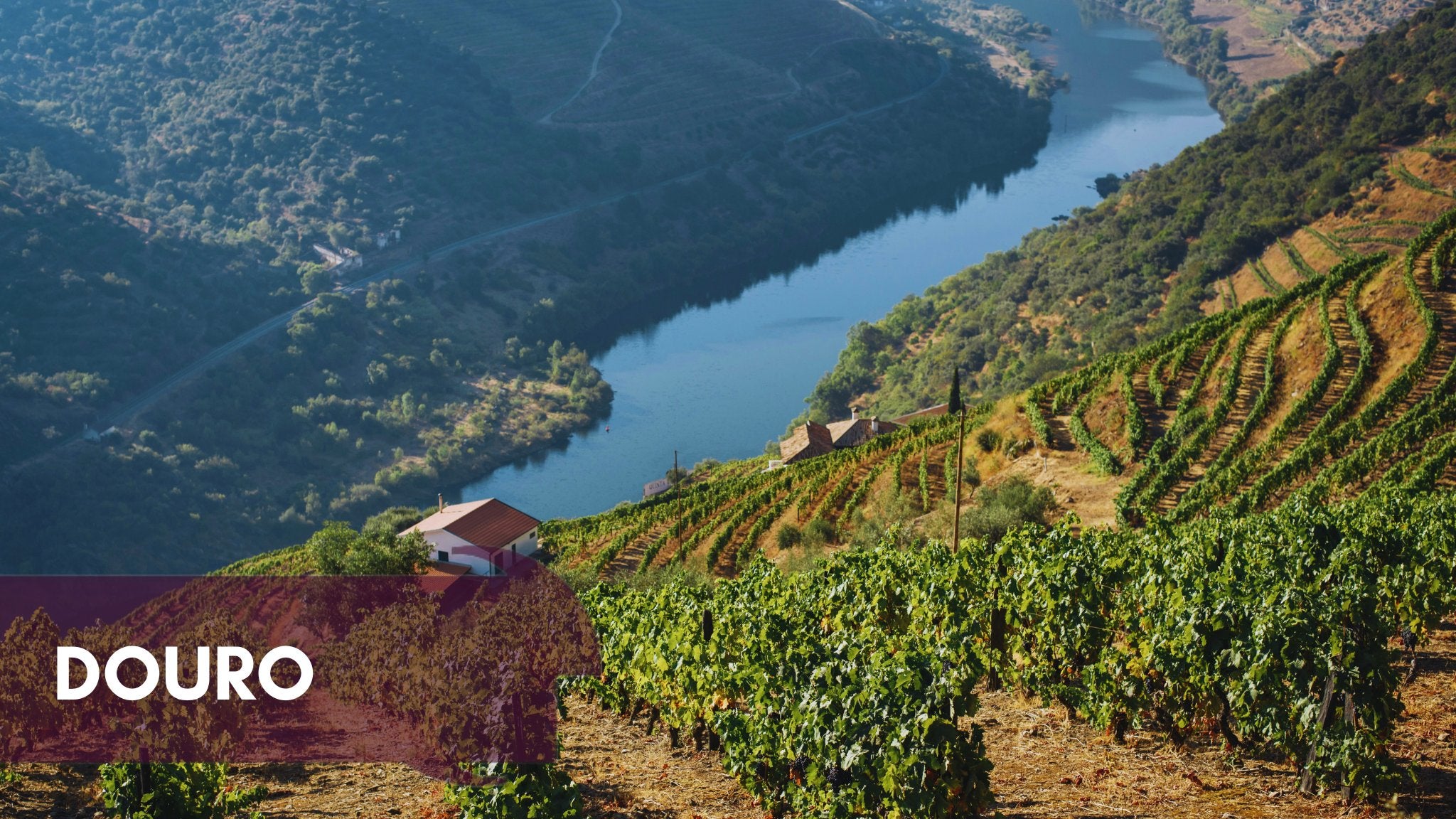 Douro