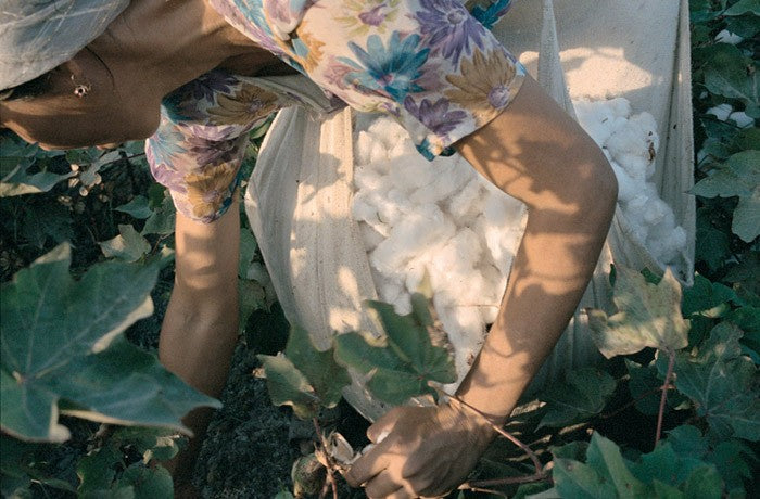 ENOLOGAS & PRODUTORAS