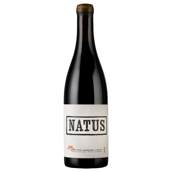 Natus Madeira+Ânfora Tinto